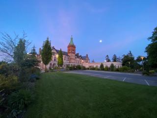 The Lucan Spa Hotel - Lucan - 9