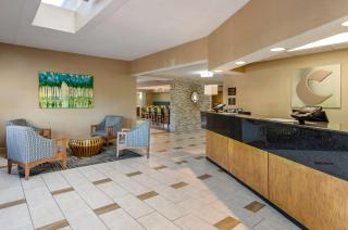 Comfort Inn Roanoke Civic Center - Roanoke - 9