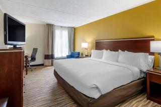 Comfort Inn Roanoke Civic Center - Roanoke - 5