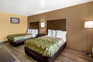 Econo Lodge Easton Route 50 - Easton - 6