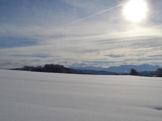 Pichler Roswitha - Bad Endorf - 5