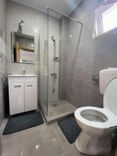 Apartmani Radivojević 2 - Sokobanja - 3
