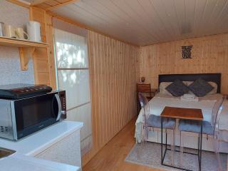 Pretty Studio with a Private Terrace - London - 0
