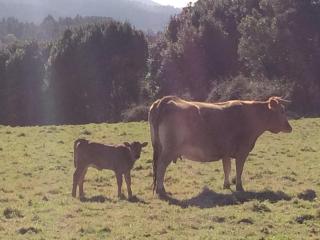 Casa Luis “el Ferre” - 1