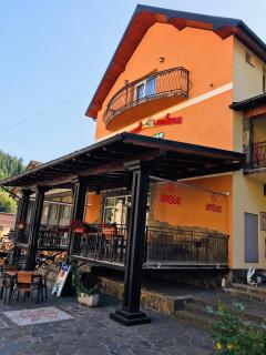 Pensiunea Montana Borșa MM - Băile Borşa - 7