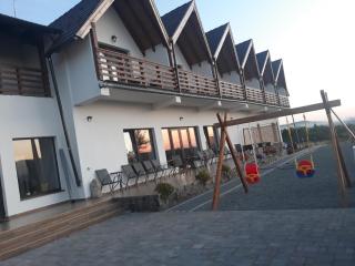 Pensiunea Casa Negrea - Alba Iulia - 9
