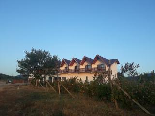 Pensiunea Casa Negrea - Alba Iulia - 8