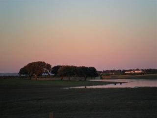 Hospedaria A Italiana - Moura - 8