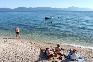 Apartments with a parking space Gradac, Makarska - 6757 - 7