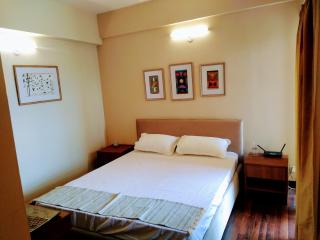 Entire Condominium Luxury Suites Perfect Getaway - Noida - 9