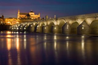 Apartamento Turístico Mis Rayitos - Córdoba - 8