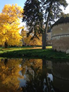 Chateau de Bresse sur Grosne - Bresse-sur-Grosne - 9