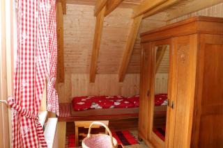 4 Sterne Ferienhaus Habakuk Eibenstock - Eibenstock - 3