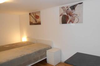 Zimmer in direkter Nähe zu Basel - Grenzach-Wyhlen - 4