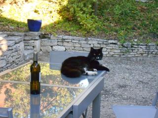Chantegarrigue - Collorgues - 1