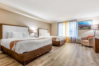 Quality Inn & Suites - 9