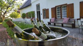 Montpellier de Tulbagh - 1