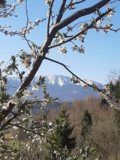 Chałupa z widokiem w górach - 8