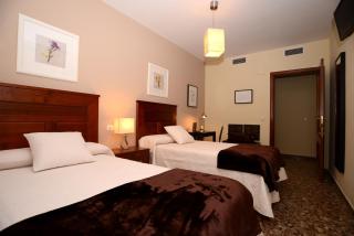 Apartamentos Turísticos Ceres - Mérida - 9