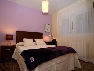 Apartamentos Turísticos Ceres - Mérida - 8