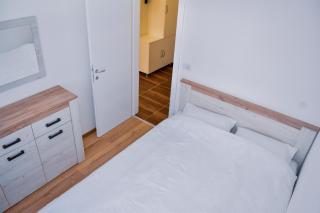 Apartman BLAGOJEVIĆ - Banja Koviljača - 3