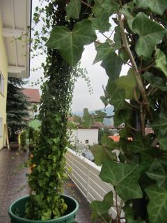 Haus Sonnenblick - Lam - 8