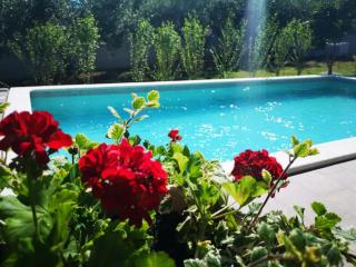 House Gordana for 6-8 persons with NEW Jacuzzi and swimming pool - Ližnjan - 3