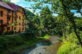 Apartments in Polyana - 7