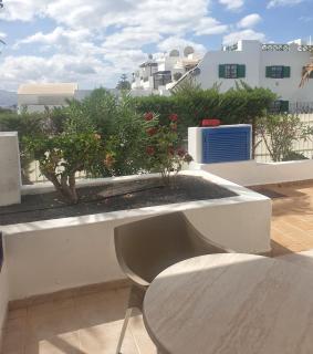 Grupotel Cinco Plazas - Puerto del Carmen - 4
