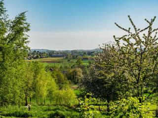 Holiday Home Les Plachettes - Flobecq - 2