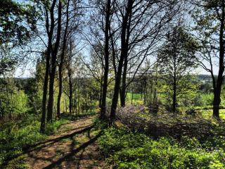 Holiday Home Les Plachettes - 1