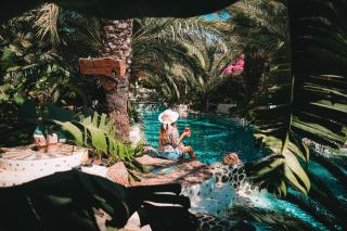 Flamingo Hotel & Spa - Pet Friendly - 8