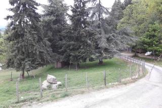 Gîte Le Pilat - Vernoux-en-Vivarais - 8