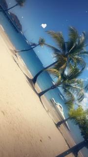 Villa les Palmiers - 6