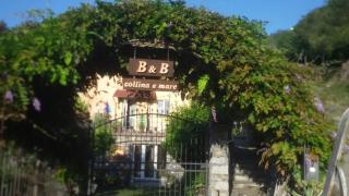 B&B collina e mare - 8