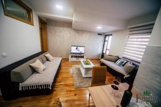 FAMILY APARTMENTS 1 - Zlatibor - 4