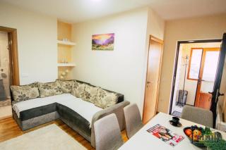 FAMILY APARTMENTS 2 - Zlatibor - 4