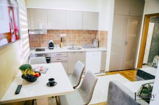 FAMILY APARTMENTS 2 - Zlatibor - 8