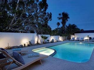 Plush Pad Palm Springs Permit# 2937 - 7