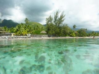 Pension TE MITI - PLAGE-BEACH 200m - Mahana Parc & Vaiava Beach pk18 - B&B CHAMBRES ou DORTOIR - Punaauia - 2