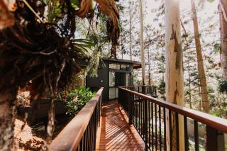 Rainforest Gardens - Luxury Hillside Accomodation with Views to Bay & Islands - Mount Cotton - 4