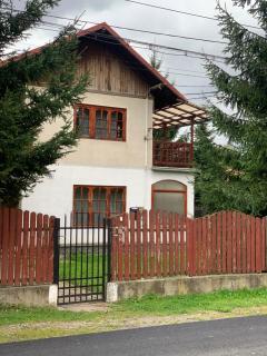 Vila Busteni DORA, locatie superba strada Grivitei 36 - Bușteni - 7
