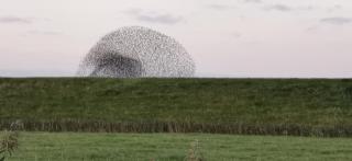 Gästehaus Hemmerdeich-alte Schule - 8