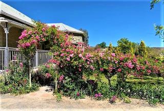 Jack of the Karoo - Sutherland - 9