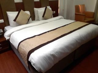 Airport Hotel Golden Bliss Near Delhi Airport - New Delhi - 0