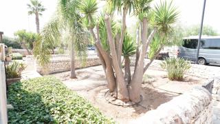 Le tre gorgoni - Marina di Modica - 4