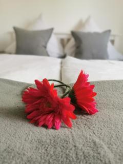 Hotel Schenk - Pirmasens - 4