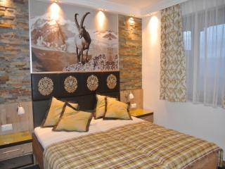 Hotel Baumgartnerhof - Altfinkenstein - 4