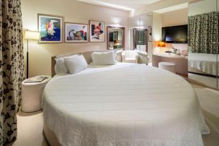 Base Hotel - Noventa di Piave - 6