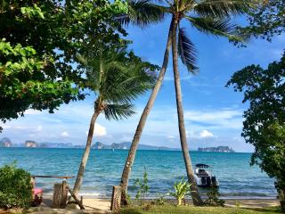 Villa Tango Victoria Resort, Koh Yao Noi - 9